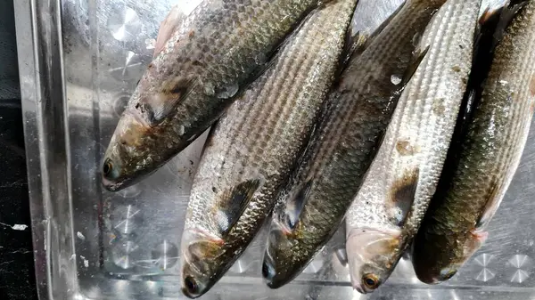 Pazardaki balıklar