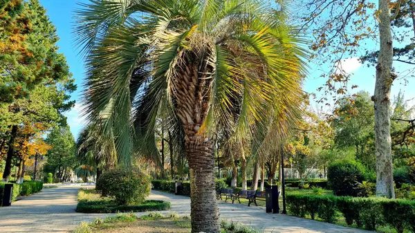 Parkın güzel manzarası