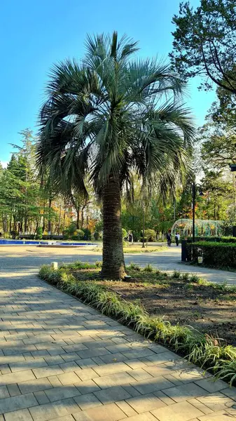 Parkın güzel manzarası