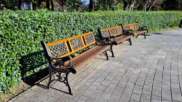 Şehrin en güzel parkı.