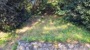 Doğanın güzel manzarası