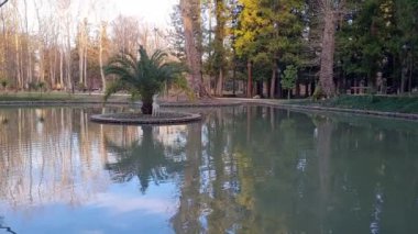 Güzel göl manzarası