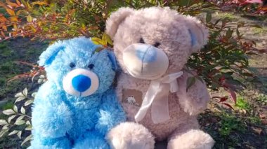 Parktaki oyuncak ayı.