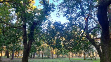 Parkın güzel manzarası