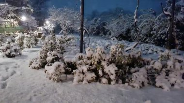 Karla kaplı ağaçlarla kaplı kış manzarası