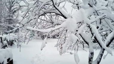Parkın kış manzarası