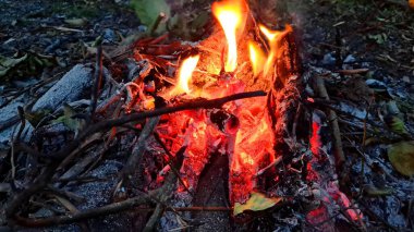 Ormanda şenlik ateşi