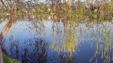 Parktaki güzel göl