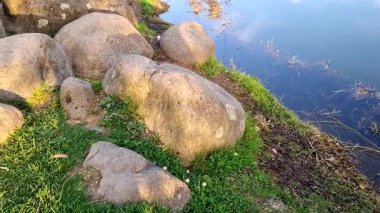 Parktaki nehrin güzel manzarası.