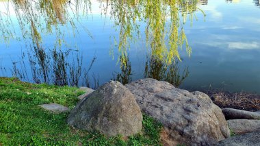 Parkta gölü olan güzel bir manzara.
