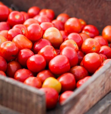 Tahta masadaki domatesler