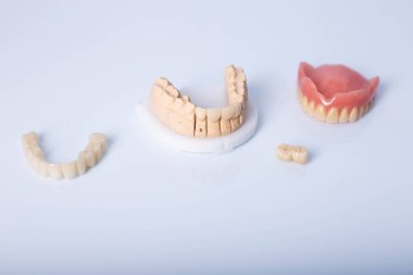 Beyaz arkaplanda diş modeli.