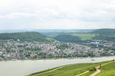 Üzüm bağları, Rudesheim Rhein ve Bingen am Rhein şehir hava panoramik Ren Vadisi, Almanya