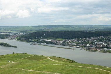 Üzüm bağları, Rudesheim Rhein ve Bingen am Rhein şehir hava panoramik Ren Vadisi, Almanya