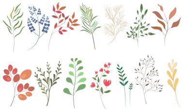 Düz dizayn tarzında kalemle çizilmiş renkli bir yaprak ve dal seti