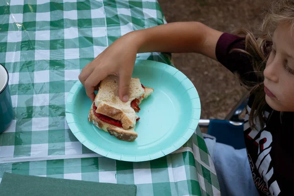 Child\'s hands with a sandwich on a camping day.