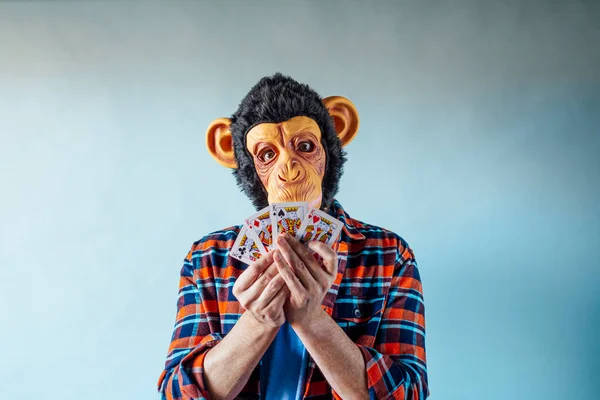 Mężczyzna Nosi Maskę Małpy Trzyma Karty Gry Pokera Niebieskim Tle — Zdjęcie stockowe