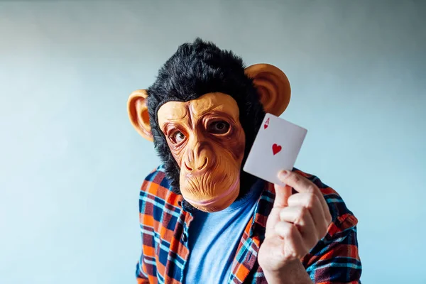 Чоловік Мавпній Масці Тримає Покер Граючи Карти Синьому Фоні — стокове фото