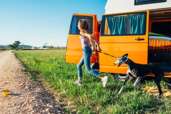Happy Girl Dog Has Fun Wonderful Camping Day Van Life — Stock Photo, Image