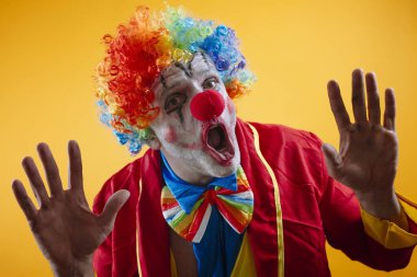 Gökkuşağı peruklu, şaşkın palyaço, gözleri açık, eller yukarı