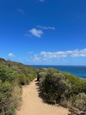 Berrak mavi gökyüzünün altında yemyeşil okyanusa doğru uzanan, doğa macerasının ve doğal güzelliğin özünü yakalayan manzaralı kıyı yürüyüşü patikası.