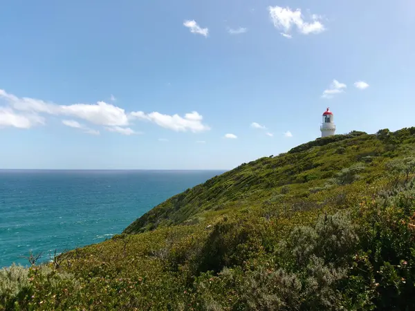 Mavi okyanus ve gökyüzüne bakan çimenli bir sahil uçurumuna tünemiş deniz fenerinin manzarası. Seyahat, doğa, keşif ve deniz tarihi konuları için ideal