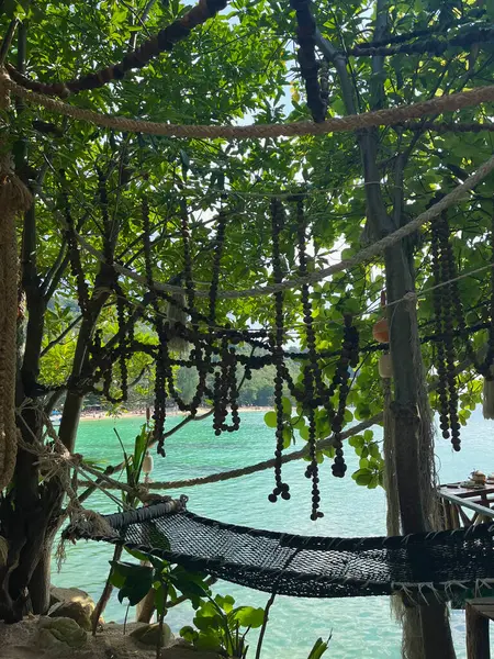 Tropikal bir sahil kenarındaki ağaçların arasına dizilmiş, tropik yeşilliklerle çevrili bir hamağın sakin bir görüntüsü. Rahatlama, seyahat ve ada hayatı temaları için mükemmel.