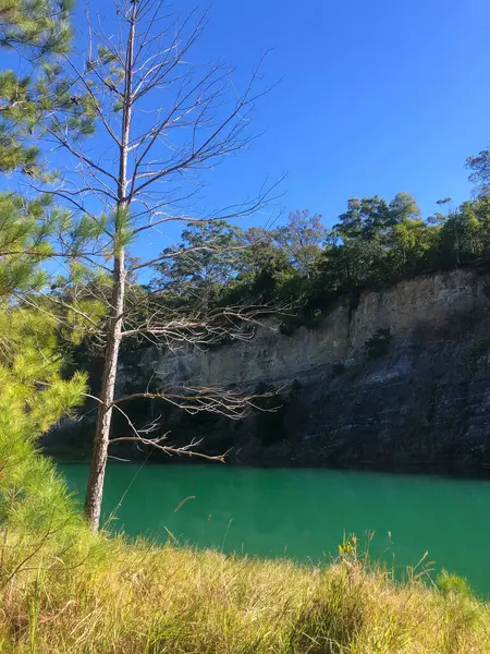 Yalnız bir ağaç uçurumun kenarında duruyor, parlak ve açık bir günde yeşil sulara bakıyor. Doğa, yalnızlık ve doğa manzaraları için ideal bir ortam.