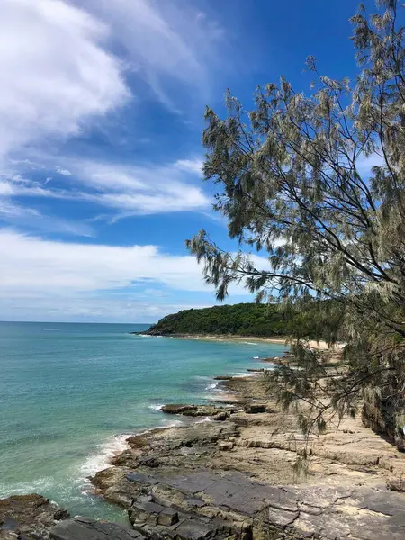 Mavi gökyüzü, durgun turkuvaz suları ve ağaç dallarının doğal güzelliğiyle çerçevelenmiş engebeli bir kıyı şeridi. Doğa ve seyahatle ilgili projeler için mükemmel