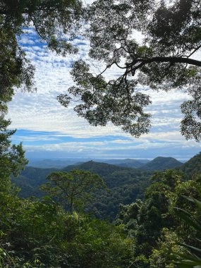 Ağaçların manzarayı çerçevelediği hayranlık uyandıran bir dağ manzarası. Doğanın güzelliğini vurgulayan barışçıl bir manzara. Uzak bir şehrin silueti yeşilliğin ötesini zar zor görüyor.