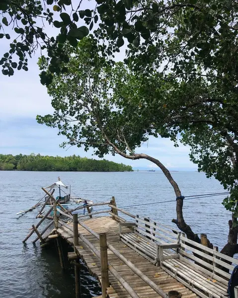 Bereketli yeşil ağaçlarla çevrili, sakin suların üzerinde kırsal bir ahşap iskele uzanır. Eko-turizm, huzurlu geri çekilmeler ya da kırsal bölgeler gibi konular için mükemmel sakin bir sahne..