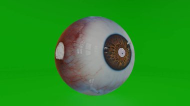 pupil of the eyes 4k photos 2024. clipart