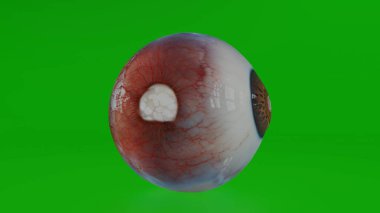 Göz bebeği 4k fotoğraf 2024.