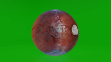 Göz bebeği 4k fotoğraf 2024.