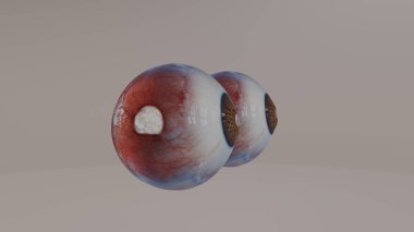 Göz bebeği 4k fotoğraf 2024.