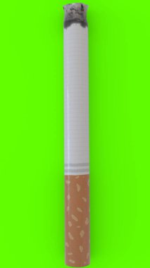 sigara yeşil arkaplan