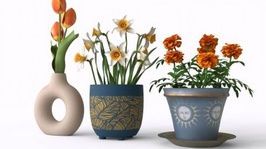 saksılar ve vazolar beyaz arkaplanlı çiçekler