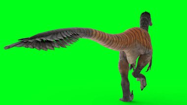 austroraptor with green background clipart