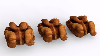 Beyaz arka plan ile ceviz