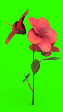 Yeşil arkaplan ile amber çiçeği