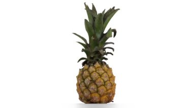 beyaz zemin üzerinde olgunlaşmış ananas