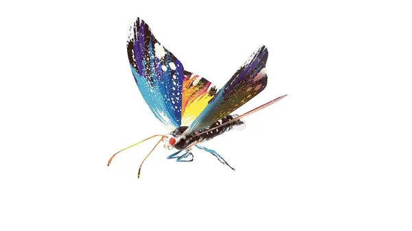 Beyaz arka planda renkli kelebek