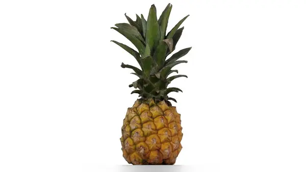 Olgun ananas portresi