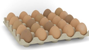 yumurta yumurta tepsisi