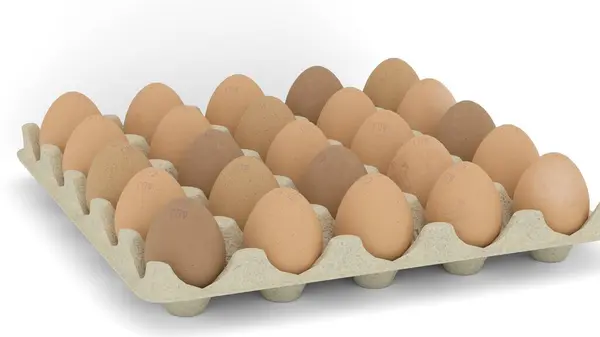 yumurta yumurta tepsisi