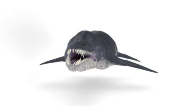 Beyaz arkaplanda liopleurodon