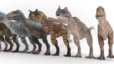 Beyaz arkaplana kıyasla dinozor boyutu