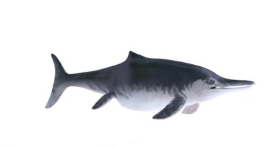 Beyaz arkaplanda temnodontosaurus