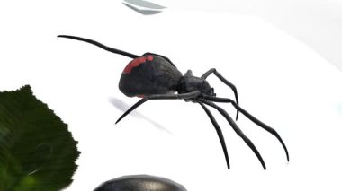  4k çözünürlüklü 3d ve bilgisayar canlandırma videosu.