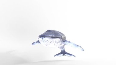 Beyaz zemin üzerine mavi balina